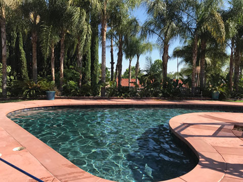 Pool Services In Upland