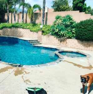 bertino-pool-service-upland-ca6