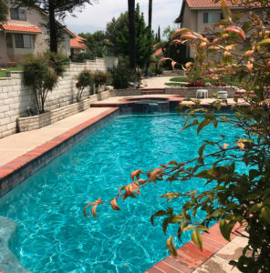 bertino-pool-service-upland-ca6